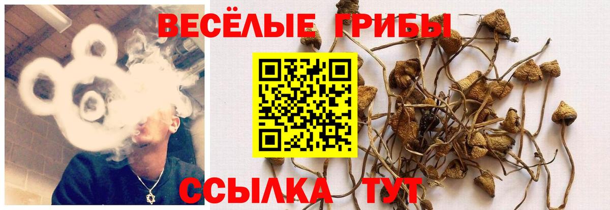 Галлюциногенные грибы прущие грибы  Вход с VPN  Джанкой 