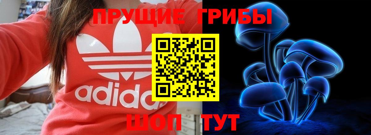 Псилоцибиновые грибы Psilocybine cubensis Джанкой